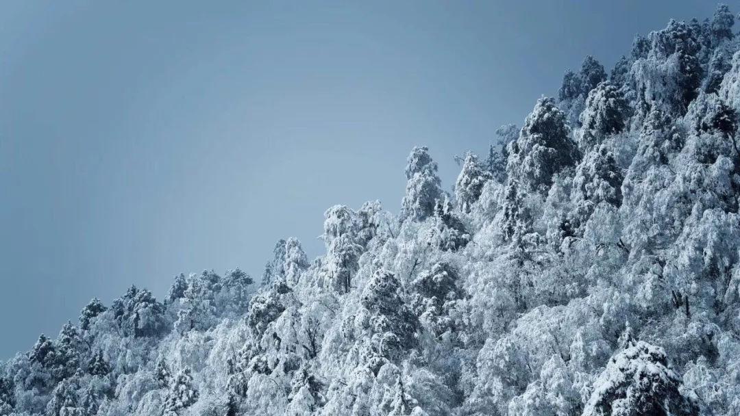 情侣发红包是赠与还是借贷?北京法院审理多起相关案件